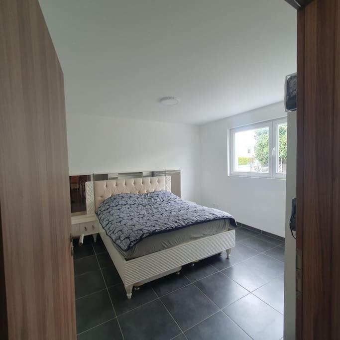 Bel Appartement Rez De Jardin Horbourg Kültér fotó