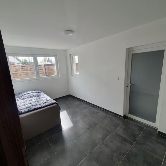 Bel Appartement Rez De Jardin Horbourg Kültér fotó